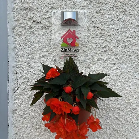 Apartament Ziamilva Santa Giustina (Belluno)