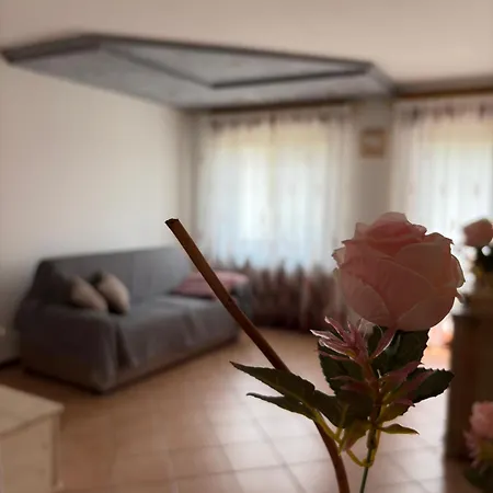 Ziamilva Apartment *