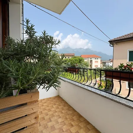 Ziamilva Apartament *