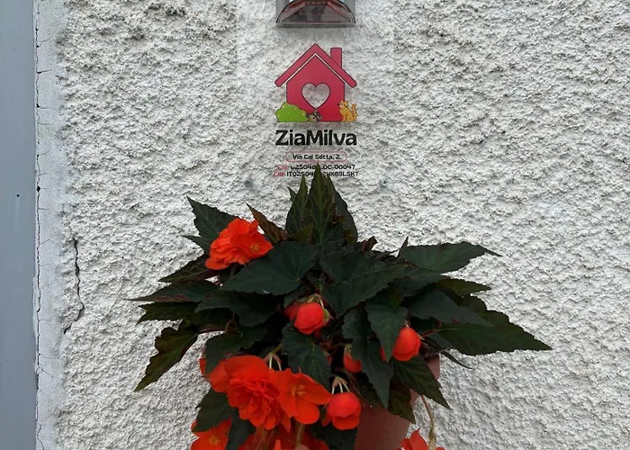 Апартаменты Ziamilva Santa Giustina (Belluno)