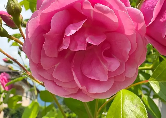 Ziamilva Διαμέρισμα *